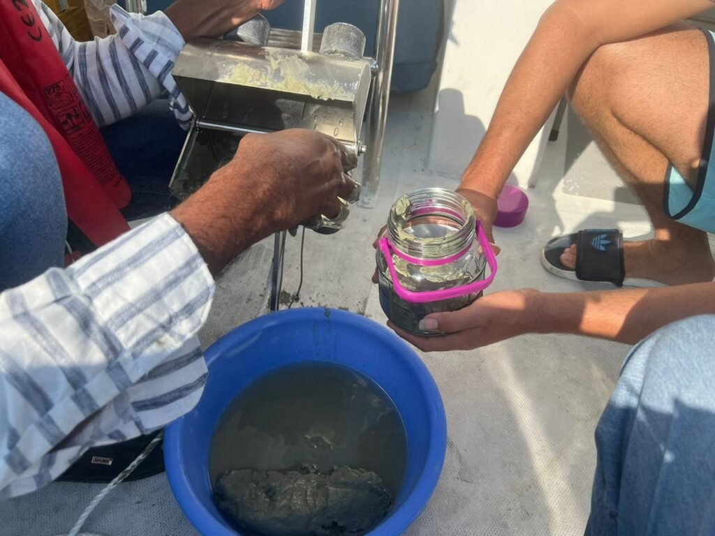 39a956fb-ca20-4cdc-acf1-e1811334df45