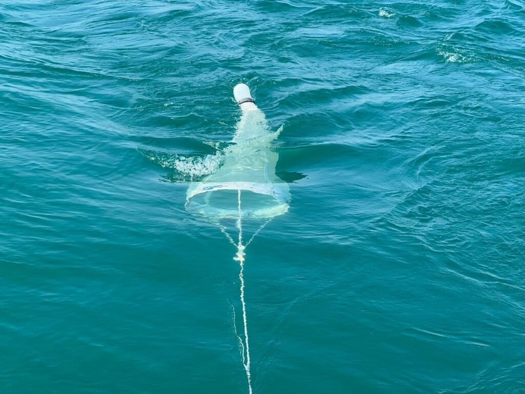 f705d8c0-9098-4f78-8bb9-e846d20a61b9